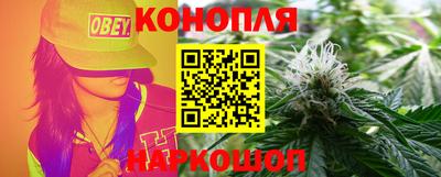 Альфа ПВП Кудрово