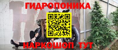 Альфа ПВП Кудрово