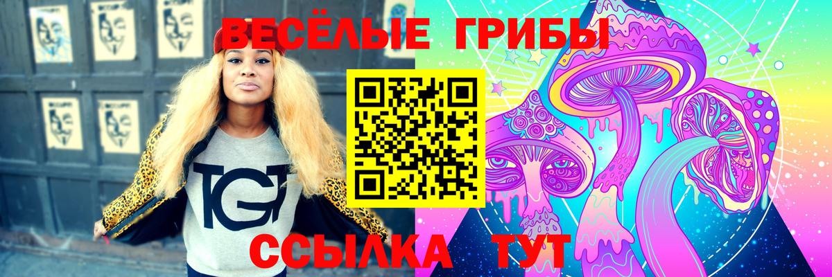 Псилоцибиновые грибы ЛСД  Вход с VPN  Мариинск 