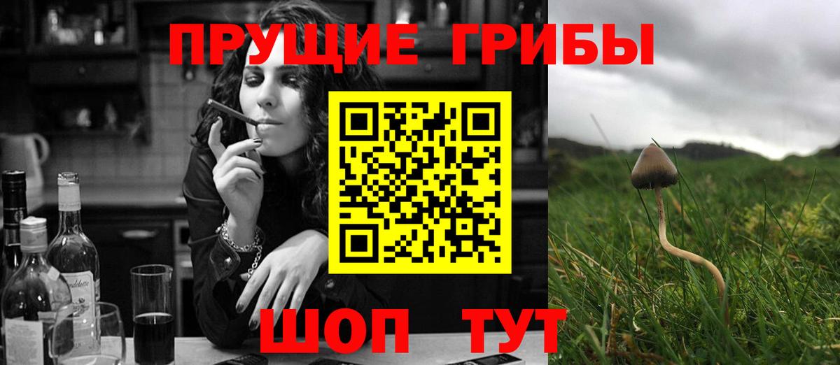 Псилоцибиновые грибы мухоморы Мариинск